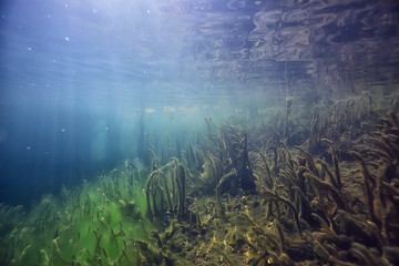 Naklejka na ściany i meble disaster ecology river underwater / landscape pollution ecology underwater