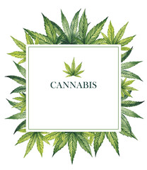 Square frame with cannabis leaves on a white background. Watercolor illustration.
