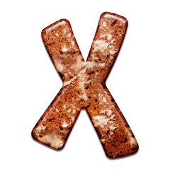 Gingerbread cookie with icing alphabet letter. 3d tasty letter X, isolated on white background.