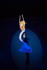 Silk artist performing at the circus