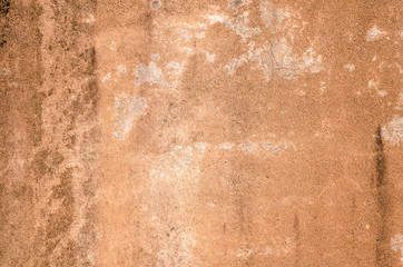 brown dirty mildewed wall