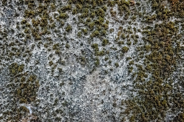 mildewed wall background