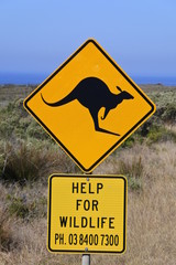 Vorsicht K&auml;ngurus an der Great Ocean Road in Australien