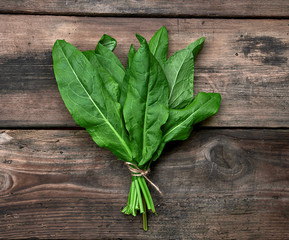 bunch of fresh green leaves of sorrel on a wooden table