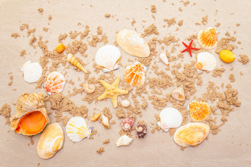 Seashells sandy summer background. Lots of different seashells piled together, copy space, top view.