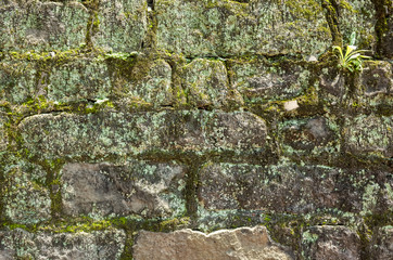 moisture aged cement brick wall background