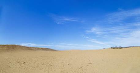 Obraz na płótnie Canvas Tottori sand dune
