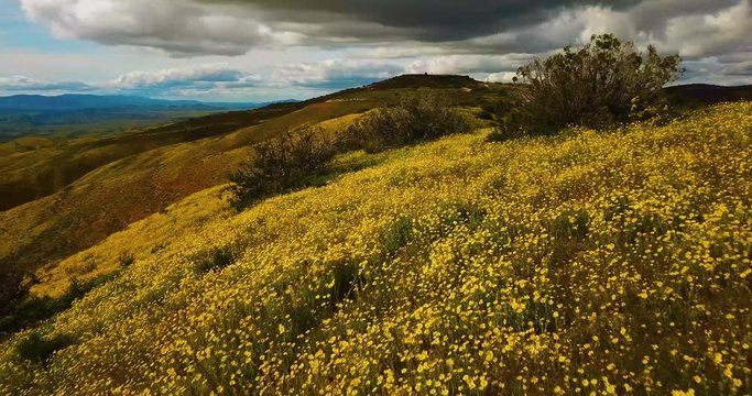Beautiful Temblor Range Mountains California
