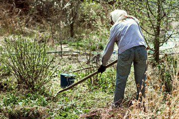 garbage collection in a garden man removes garbage and dry grass from the territory