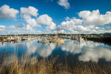 Clouds reflecting in the boat harbor on a sunny summer day - obrazy, fototapety, plakaty