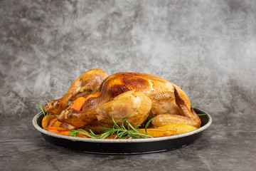 Roasted chicken, potatoes and vegetables in plate on grey background. Side view