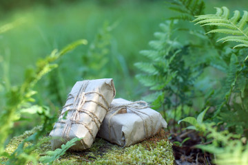 Two gifts in craft bumge lie on stump among ferns