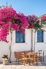 White house facade with traditional blue windows and flowers on Andros island, Cyclades