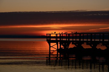 Fototapeta na wymiar Sonnenaufgang Morgensonne Meer Ozean Strand Wasser Wellen Orange Lichtspiel Farben Vögel Seebrücke Steg Holz Möwen