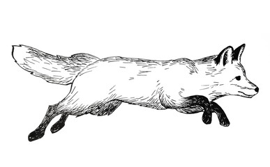 Pencil illustration, hand graphic. Jumping fox