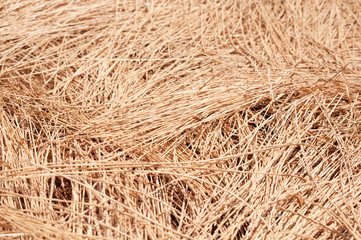 Stubble field, chaff surface texture