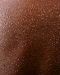 Human Skin and Sweat