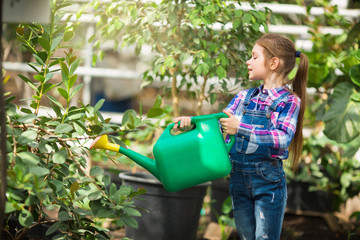 beautiful young girl watering a watering-can tree with lemons in a greenhouse garden