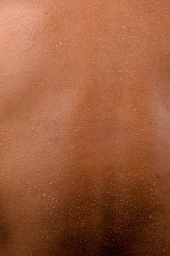 Human Skin and Sweat