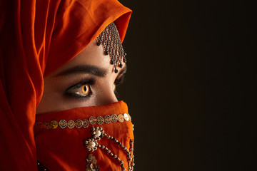 Studio shot of a young charming woman wearing the terracotta hijab decorated with sequins and jewelry. Arabic style.