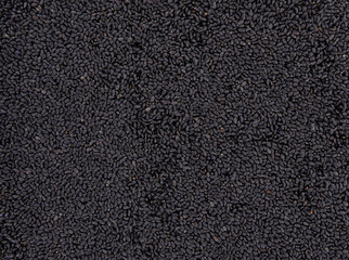 Fototapeta premium sweet basil seed on background