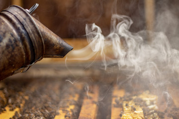 The beekeeper treats the hive with smoke to calm the bees before work Selective focus