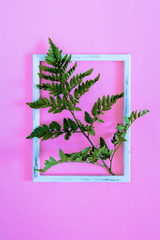 Tropical fern leaves on a pink background framed jungle, floral summer pattern, trend flat top view