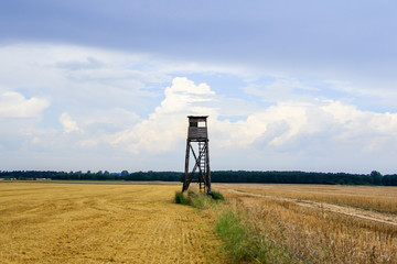 Ambona myśliwska na polach