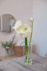 White lily in a transparent vase on a table in a bright white room, space for text.