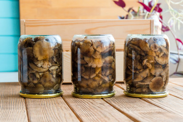 Armillaria fried mushrooms in a glass jar