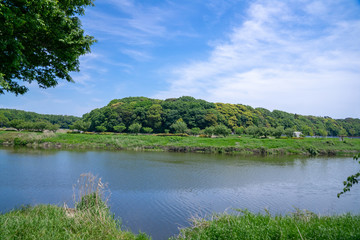 木陰の散歩道