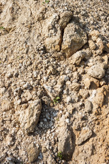 Soil surface. Clay and sand. Texture, close-up
