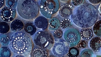 アンモナイト化石の背景