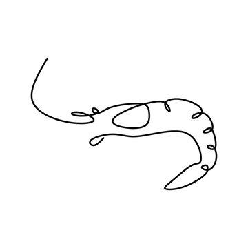 recommend clip art: One line drawing of shrimp continuous minimalistic design