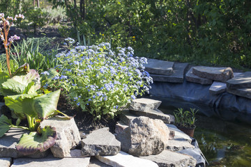 Artificial pond, decorated with stones and blue forget-me-nots