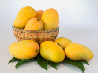 ripe mangos in a basket on a white background