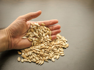 Close up of unpeeled pumpkin seeds in hand with brown wooden background.