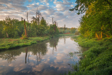 Obraz premium Jeziorka river at spring near Piaseczno, Masovia, Poland