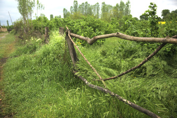 Natural hand made fence made of wooden tree brenches. Close up view of village fence. Azerbaijan. Nature background. 