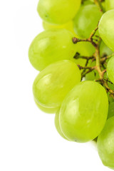 Fresh and delicious grapes