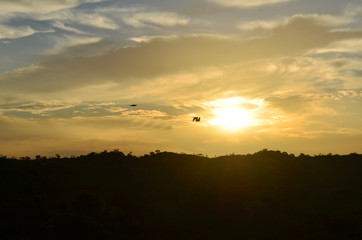 Aves voando ao pôr do sol