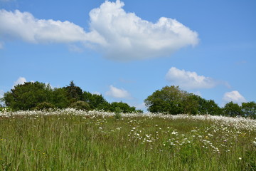 Saint-Herblain - Ville verte