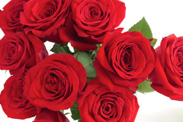 red roses card flower background love romance greeting florist