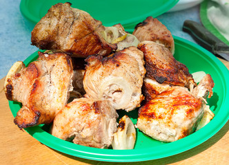 pieces of pork kebab cooked on the campfire with onions on a disposable plastic green plate