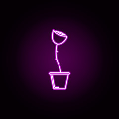 rose in pot neon icon. Elements of flower set. Simple icon for websites, web design, mobile app, info graphics