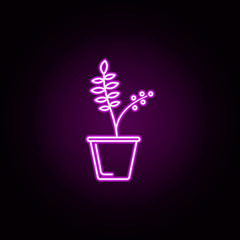 tongat ali in pot neon icon. Elements of flower set. Simple icon for websites, web design, mobile app, info graphics