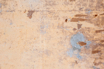 Wooden texture. Wood background