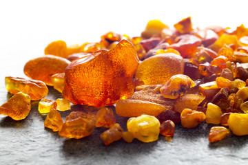Amber from the Baltic Sea