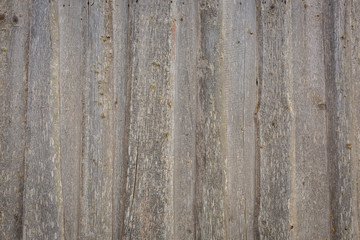 Obraz premium Old wooden texture, barn wall