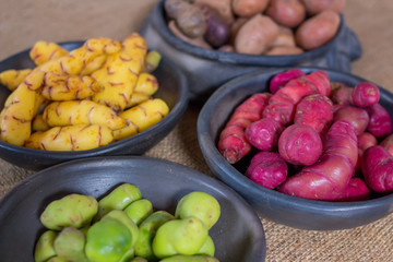 Andean Potatoes Varieties - pottery - closeup